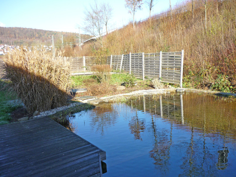 Galeriebild
