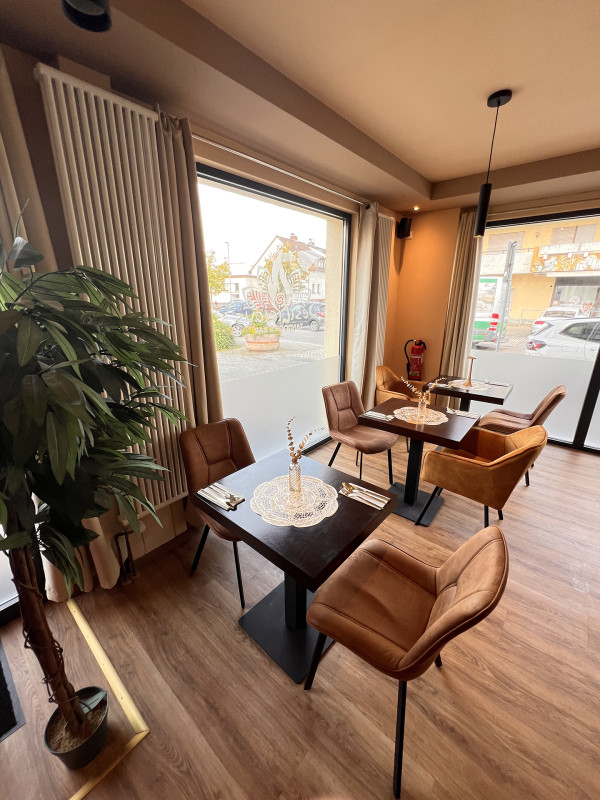 Galeriebild