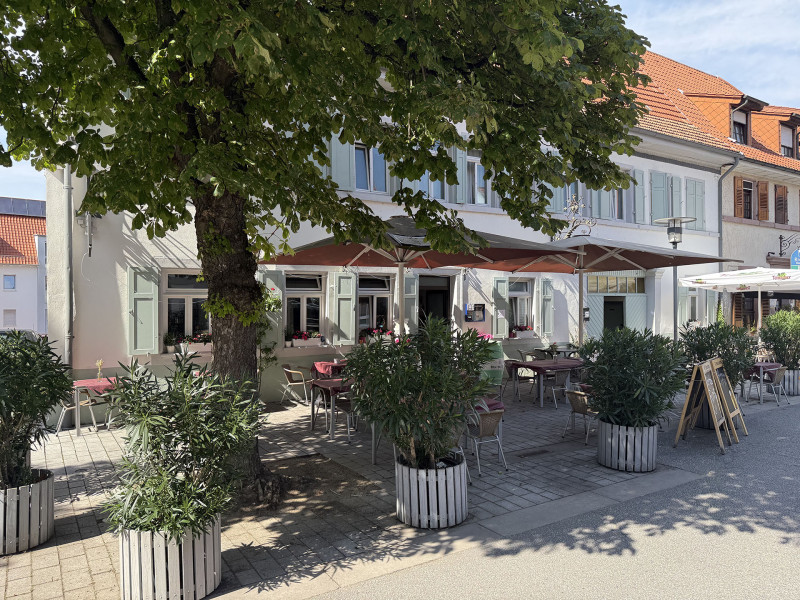 Galeriebild