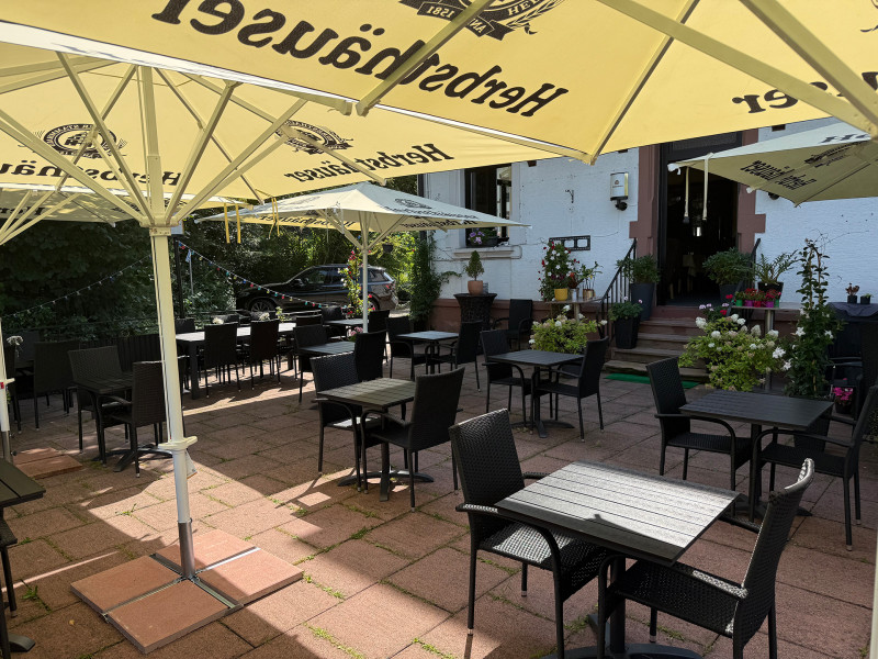 Galeriebild