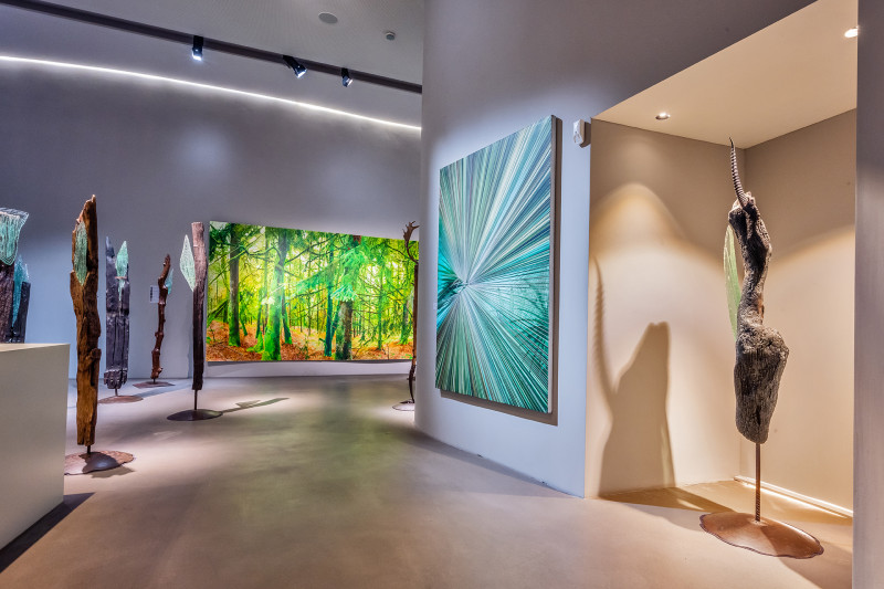 Galeriebild