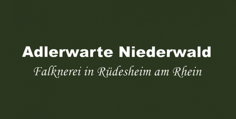 Adlerwarte Niederwald