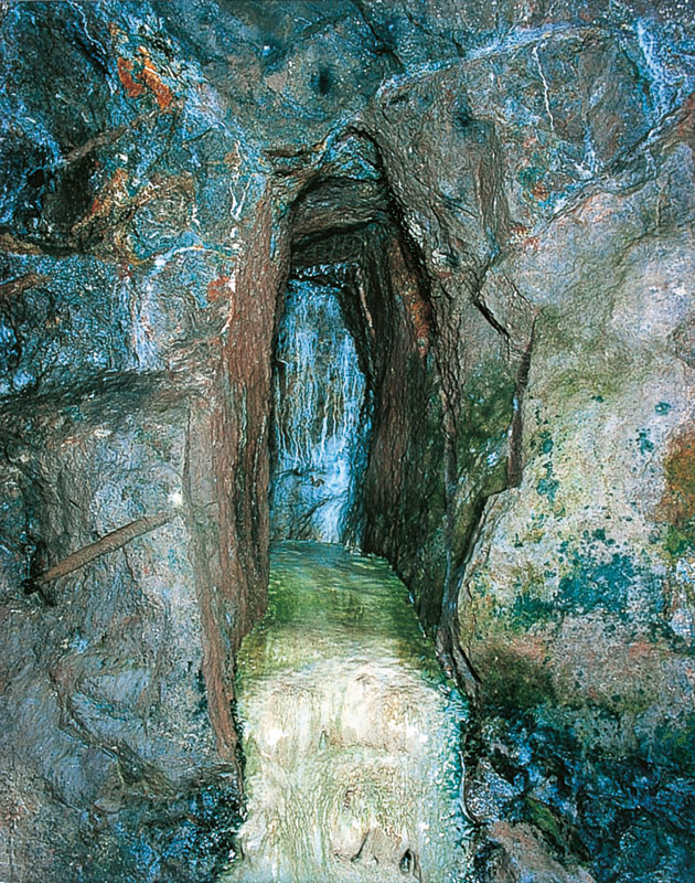 Galeriebild