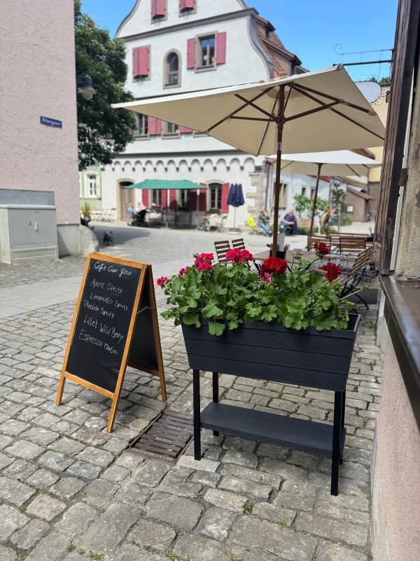 Galeriebild