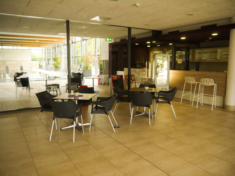 Galeriebild