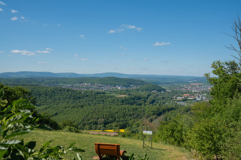 Galeriebild