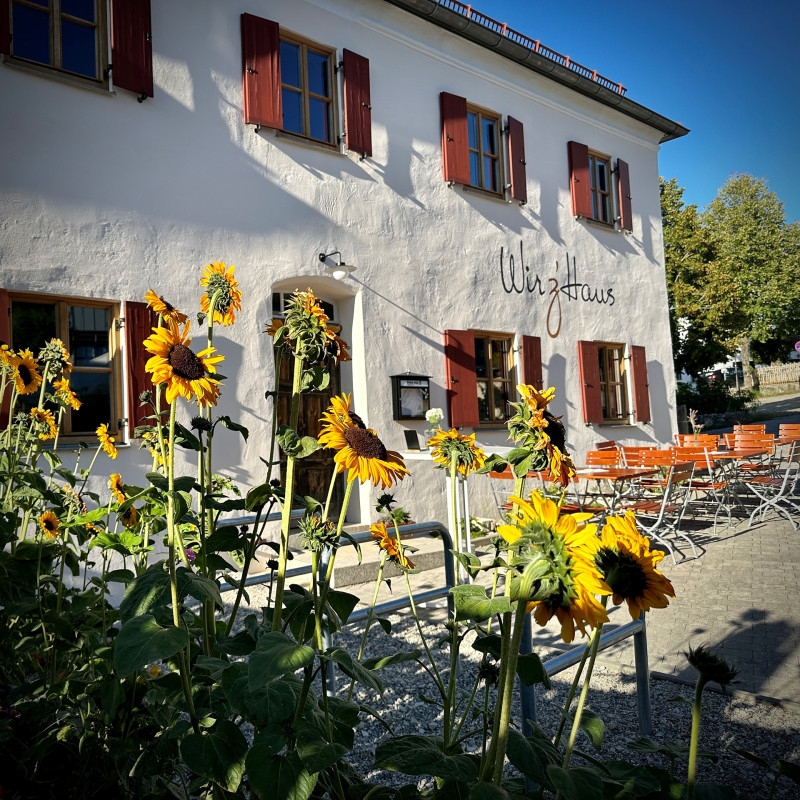 Galeriebild