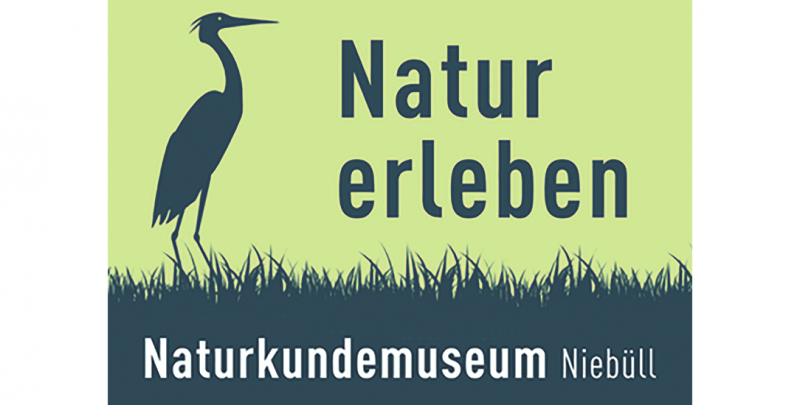 Naturkundemuseum Niebüll