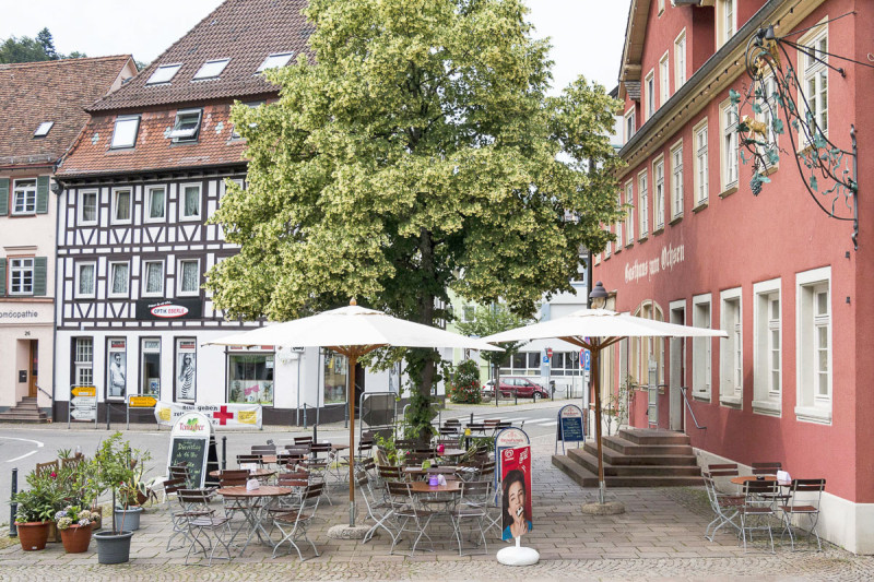 Galeriebild