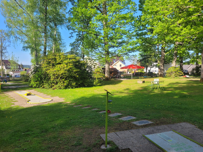 Galeriebild