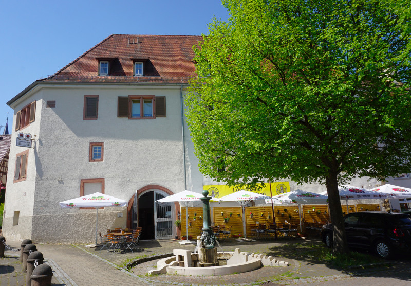 Galeriebild