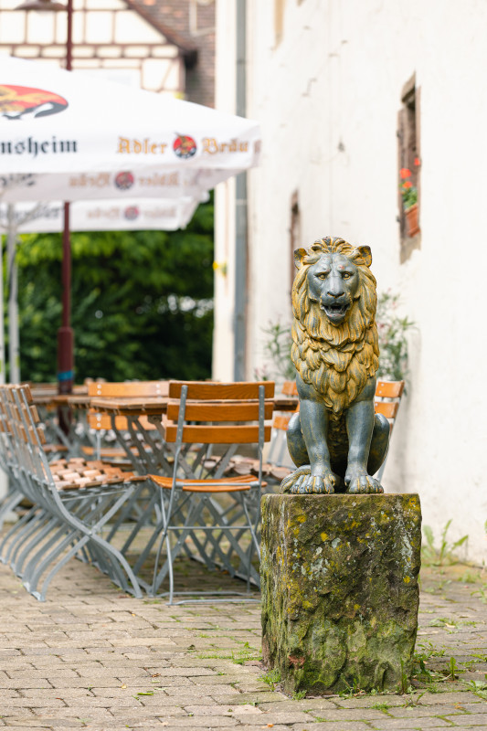 Galeriebild