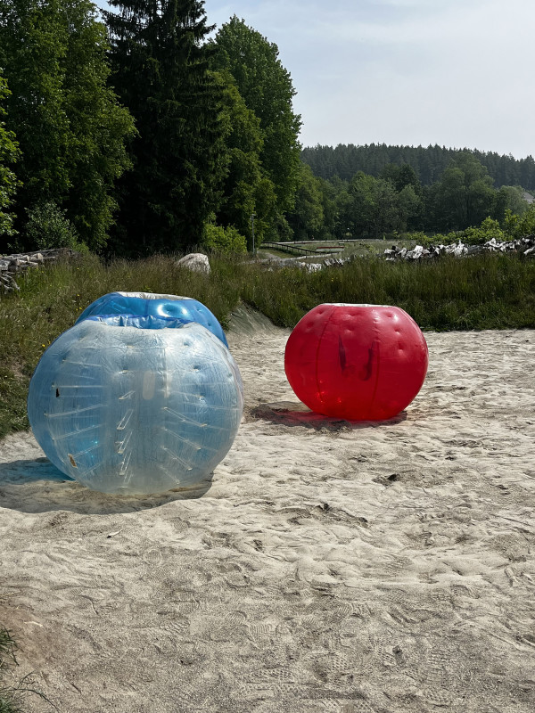 Galeriebild