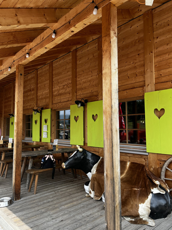 Galeriebild