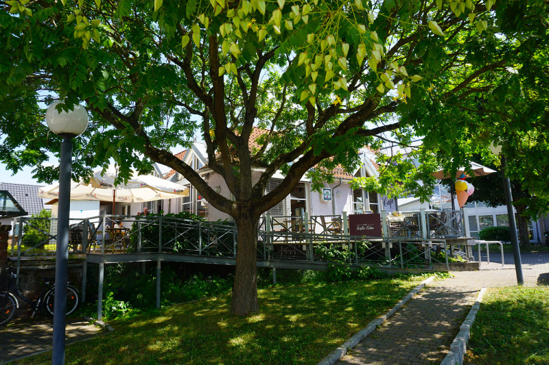 Galeriebild