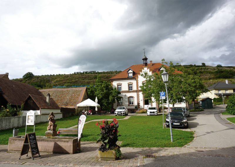 Galeriebild
