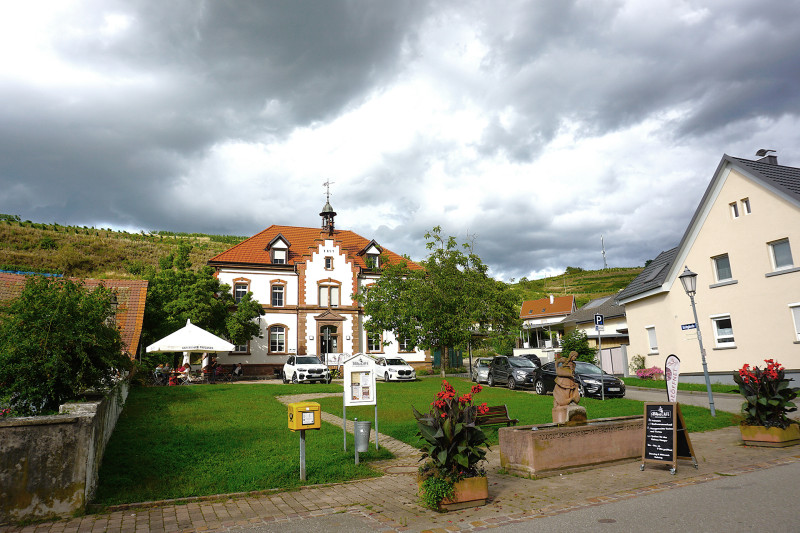 Galeriebild