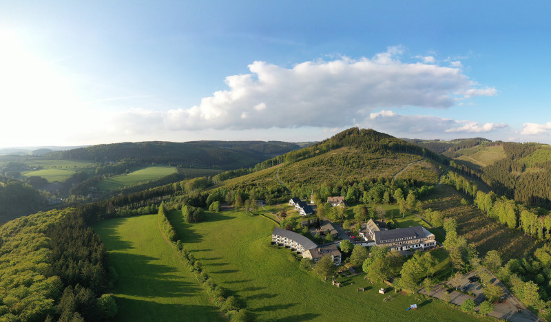 Galeriebild