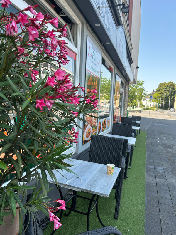 Galeriebild