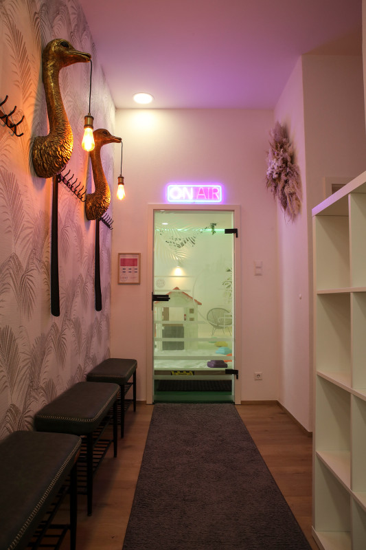 Galeriebild