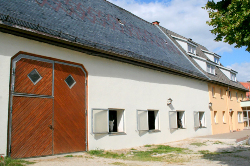 Galeriebild