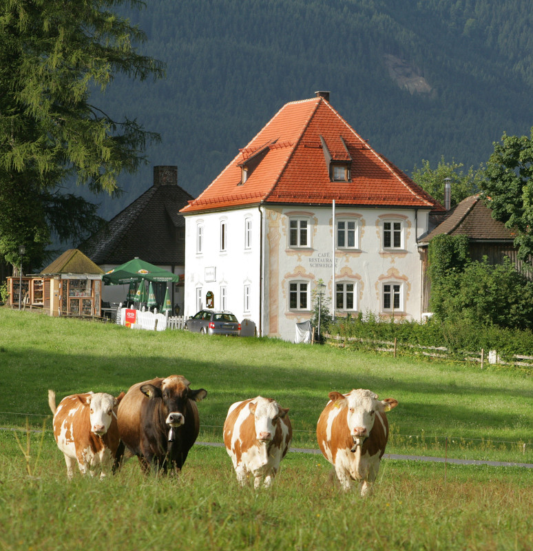 Galeriebild