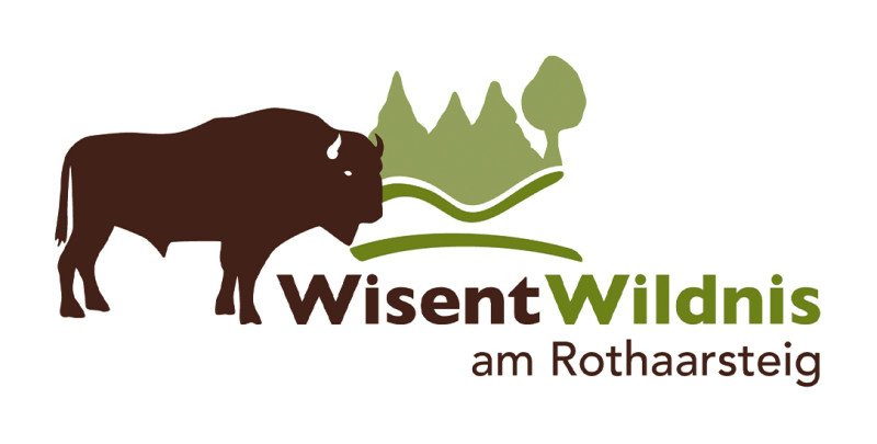 Wisent Wildnis