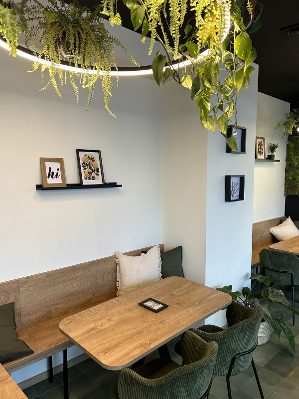 Galeriebild