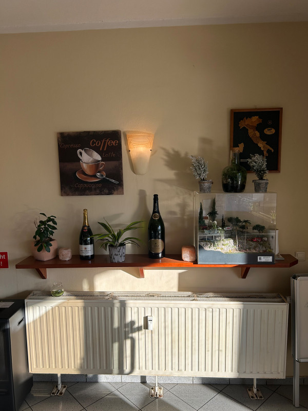 Galeriebild