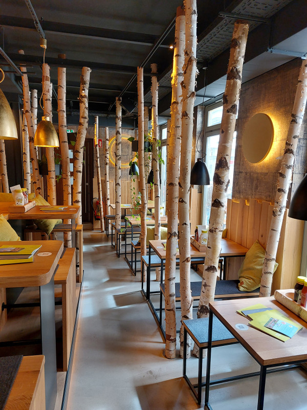 Galeriebild