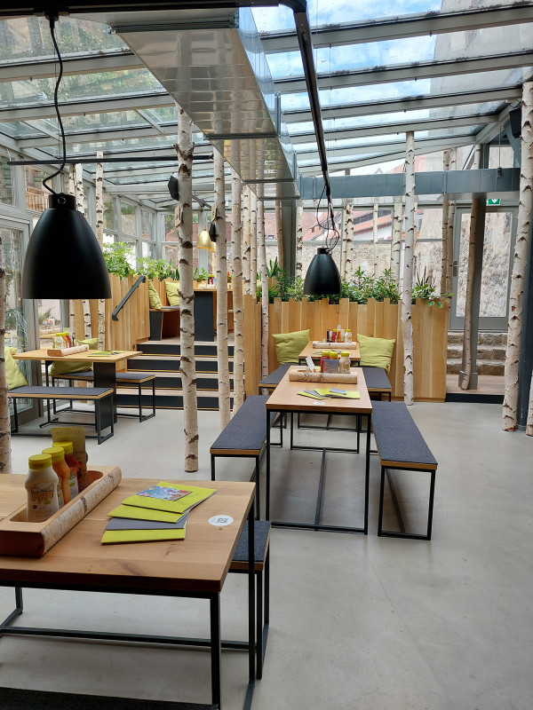 Galeriebild