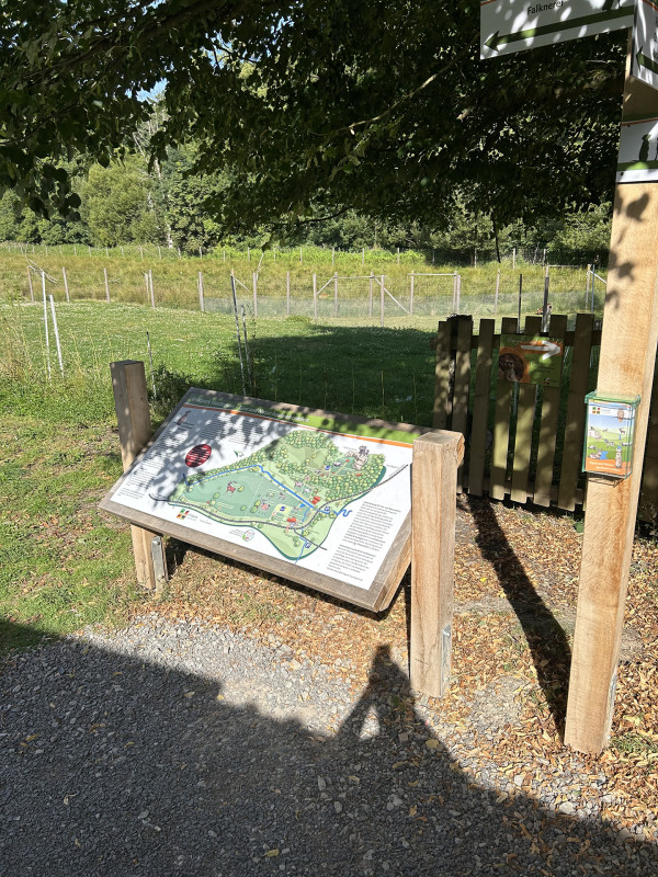 Galeriebild