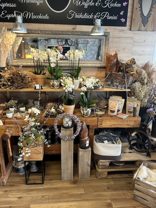 Galeriebild