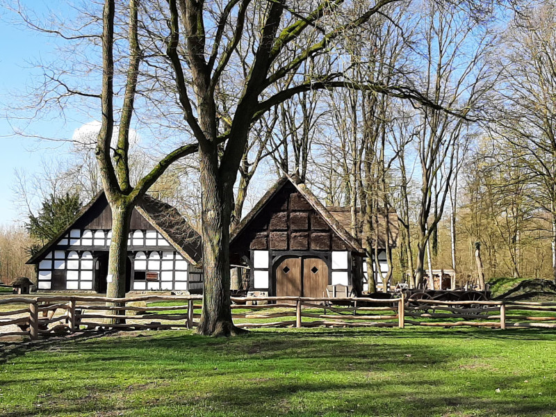 Galeriebild