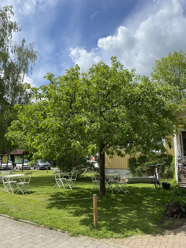Galeriebild
