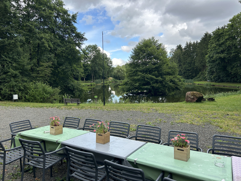 Galeriebild