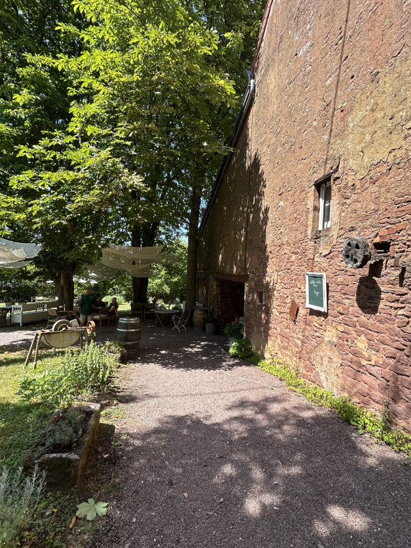 Galeriebild