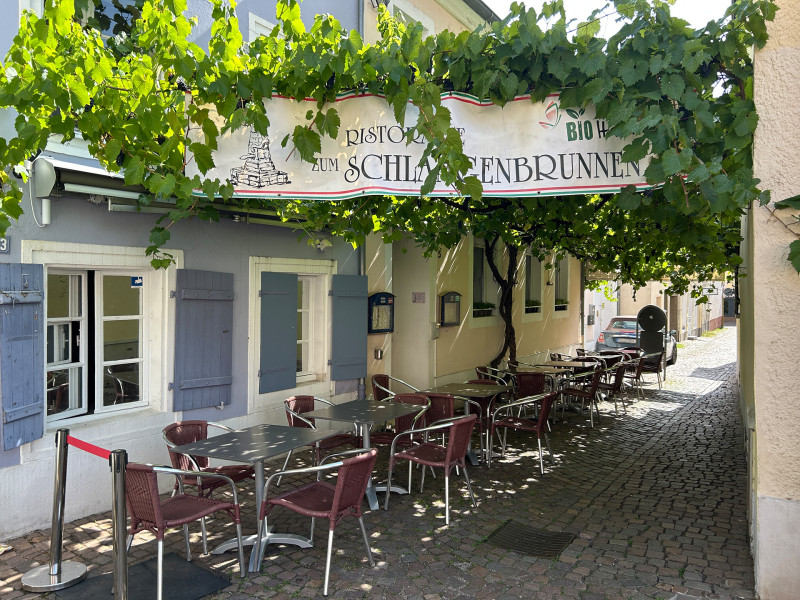 Galeriebild