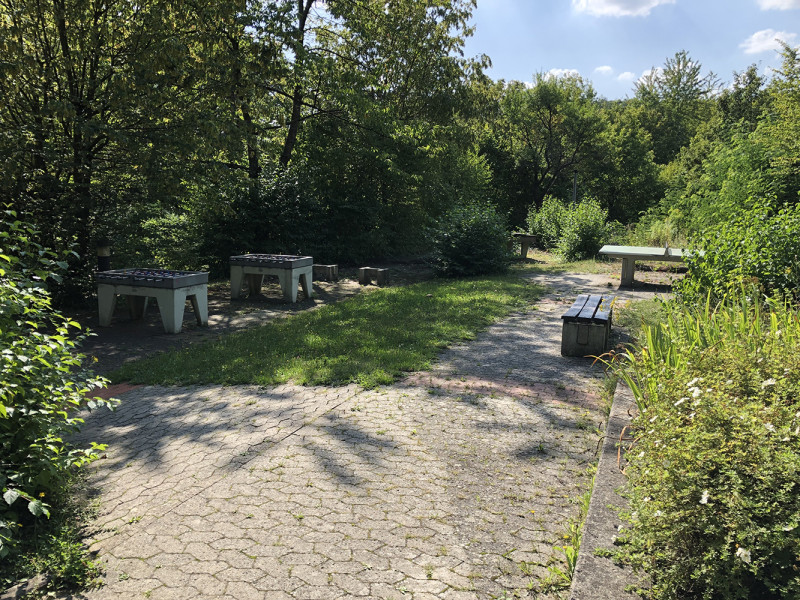 Galeriebild