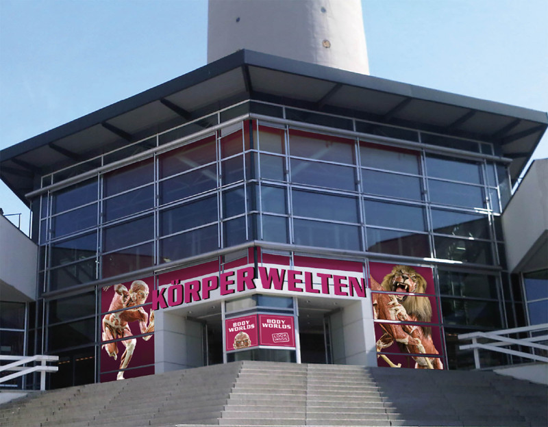 Galeriebild